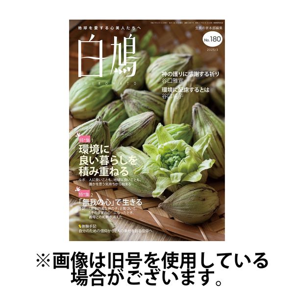 白鳩 2025/06/20発売号から1年(12冊)(雑誌)（直送品）