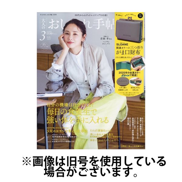 大人のおしゃれ手帖 2025/06/06発売号から1年(12冊)(雑誌)（直送品）