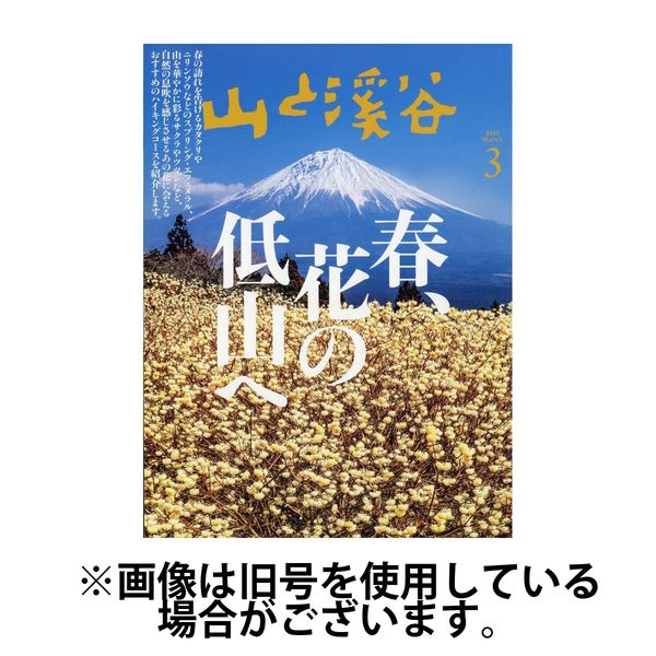 山と溪谷 2025/06/13発売号から1年(13冊)(雑誌)（直送品）