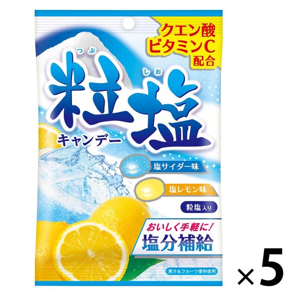 扇雀飴本舗 粒塩キャンデー 700g×10袋 : みぞた オンラインストアー
