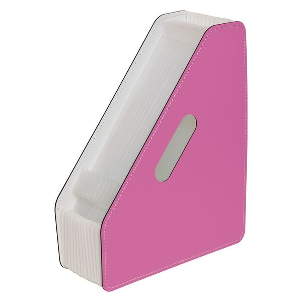 セキセイ ドキュメントスタンドA4縦13P ピンク FB-2381-21 1セット(2冊)（直送品）