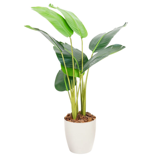 エスエスケイ 光触媒インテリアグリーン オーガスタ 120cm 25140