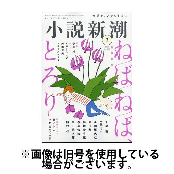 小説新潮 2025/07/22発売号から1年(12冊)(雑誌)（直送品）