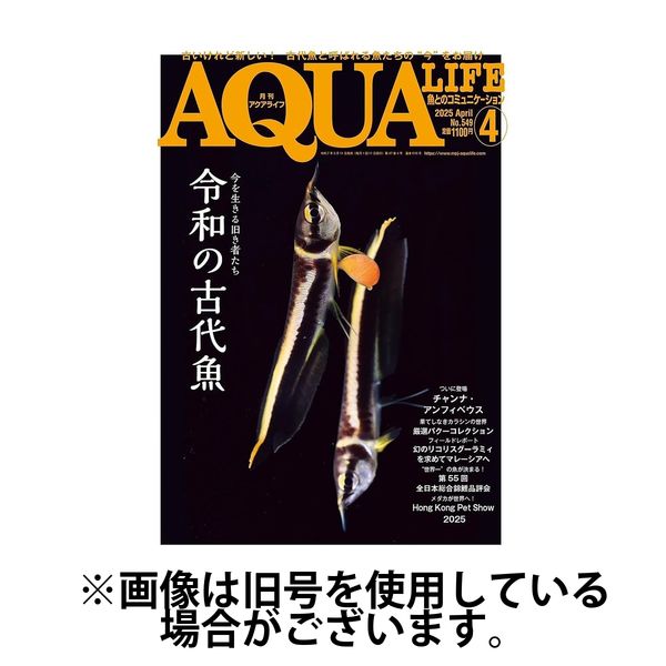 アクアライフ 2025/07/11発売号から1年(12冊)(雑誌)（直送品）