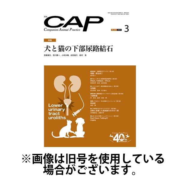 月刊CAP 2025/07/01発売号から1年(12冊)(雑誌)（直送品）