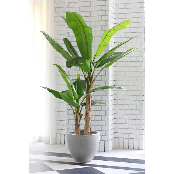 エルブレイン リアルなフェイクグリーン おすすめ バナナツリー 大型 H200cm LB24012 1本（直送品）