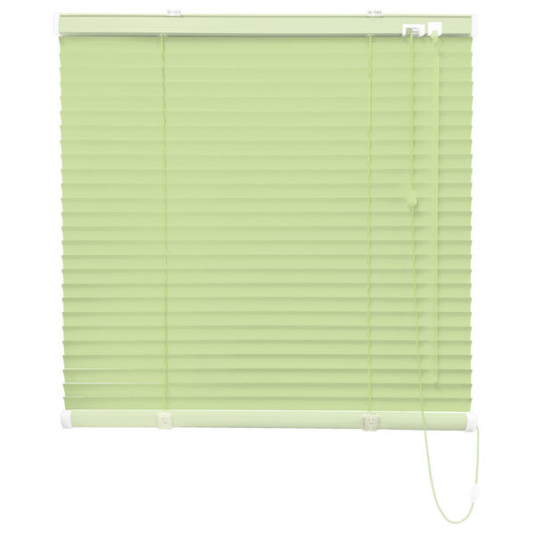 立川機工 FIRSTAGE(ファーステージ) ブラインド 標準 TK-5019 幅2450×高さ1300mm ヤンググリーン 1台（直送品）