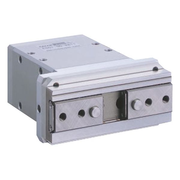 TAIYO 電動アクチュエータ 電動グリッパ ESG1シリーズ(ダブルカム) ESGーDS ESG1ーSDー2810ーR13 1P(直送品)