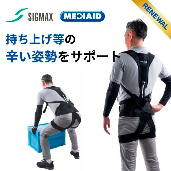 けんやまもと　分析からアジャストまで腰痛マスター 分析からアジャストまで腰痛マスター