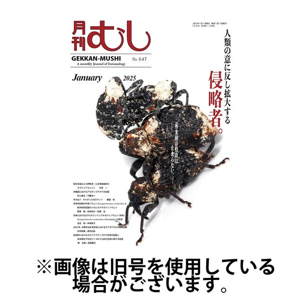 月刊むし 2025/04/21発売号から1年(12冊)(雑誌)（直送品）