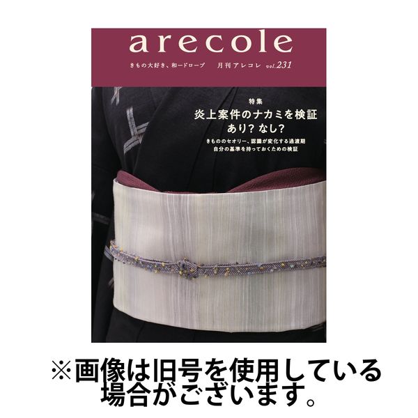 月刊アレコレ 2025/04/10発売号から1年(12冊)(雑誌)（直送品）