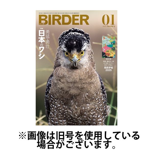 BIRDER（バーダー） 2025/04/16発売号から1年(12冊)(雑誌)（直送品）