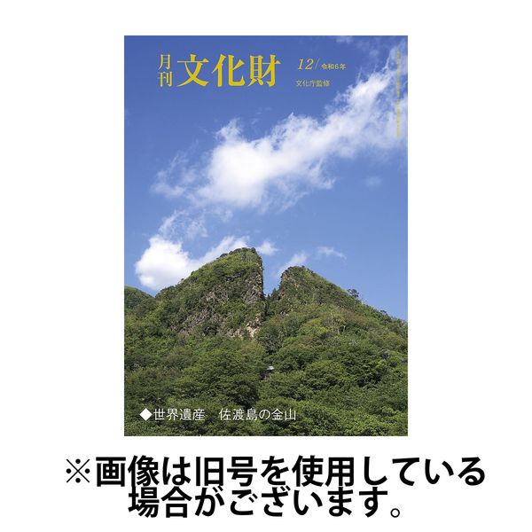 月刊文化財 2025/04/25発売号から1年(12冊)(雑誌)（直送品）