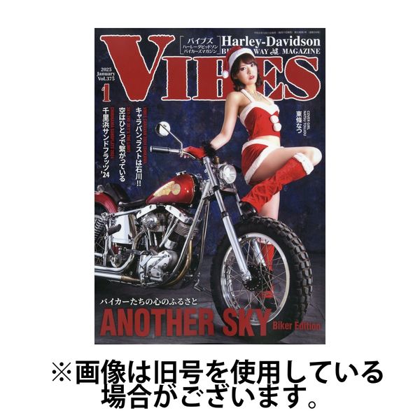 VIBES（バイブズ） 2025/04/11発売号から1年(12冊)(雑誌)（直送品）