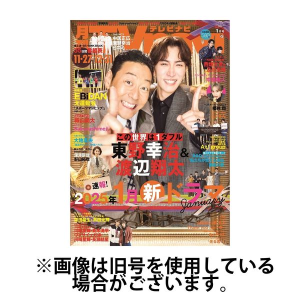 TVnavi (テレビナビ) 首都圏版 2025/04/24発売号から1年(12冊)(雑誌)（直送品）