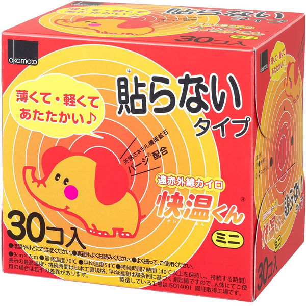 はらない快温くんミニ30コ入 カイロ 防寒 寒さ対策 暖かい 防災 備蓄 小さめ 4547691669711 1箱(1個(30枚入)x16)（直送品）