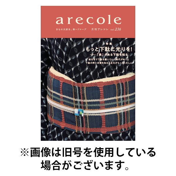 月刊アレコレ 2025/08/10発売号から1年(12冊)(雑誌)（直送品）