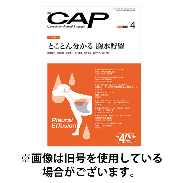 月刊CAP 2025/08/01発売号から1年(12冊)(雑誌)（直送品）
