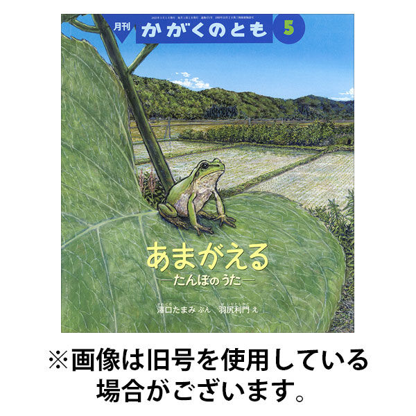 かがくのとも2025/08/01発売号から1年(12冊)(雑誌)（直送品）