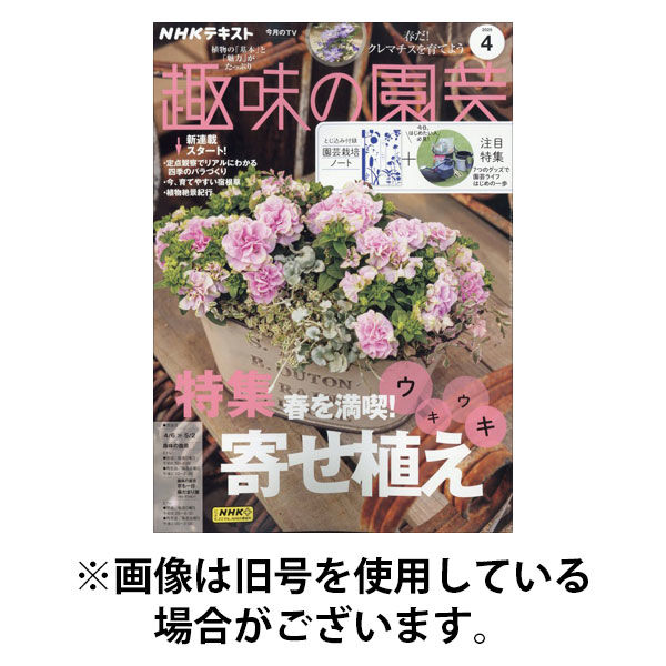 NHK 趣味の園芸 2025/08/21発売号から1年(12冊)(雑誌)（直送品）