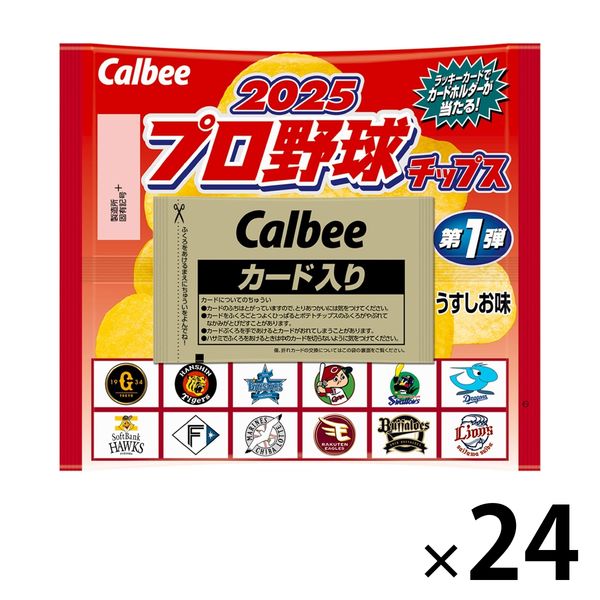 人気商品・限定商品ばかりの「超得 半額福袋」が販売開始 ポテトチップス スナック菓子 2025 1 22g プロ野球チップス その他
