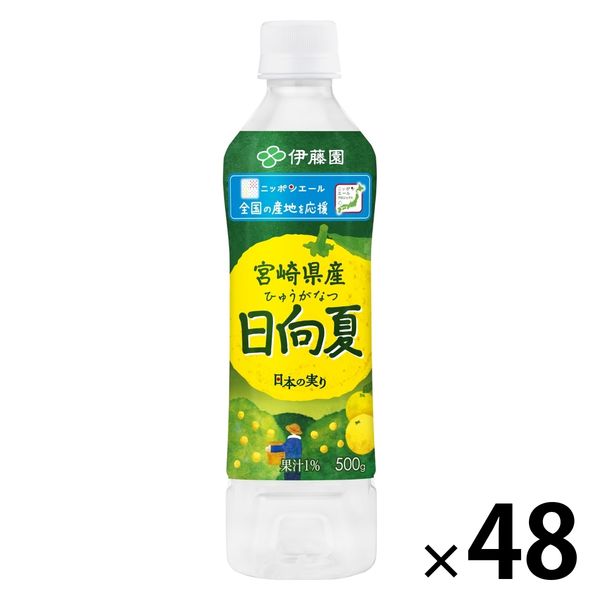 伊藤園 ニッポンエール 宮崎県産日向夏 500g 1セット（48本