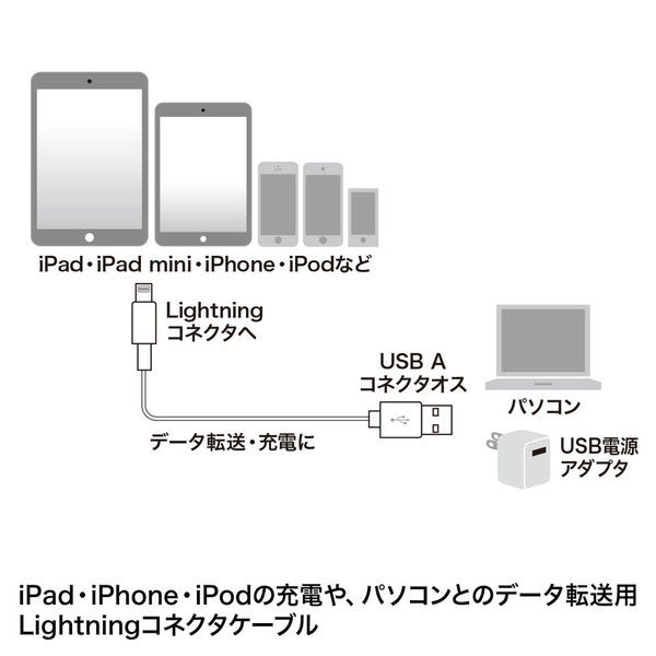 サンワサプライ ライトニングケーブル 白 3m KB-IPLT30KW 1本（直送品）