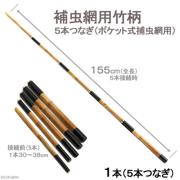 志賀昆虫 5本つなぎ ポケット式捕虫網用 全長155cm 捕虫網用竹柄 虫取り網 昆虫採集 ポケット式 178915 1個（直送品）