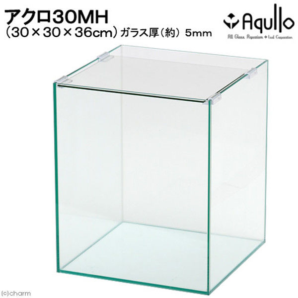 Aqullo（アクロ） オールガラス水槽 30MH 30×30×36cm 30cmミディアムハイタイプ水槽 単体 205191 1個（直送品）
