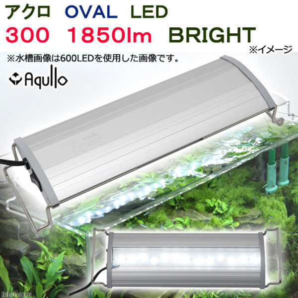 アクロ OVAL LED 300 1850lm BRIGHT Series 30cm水槽用照明 ライト