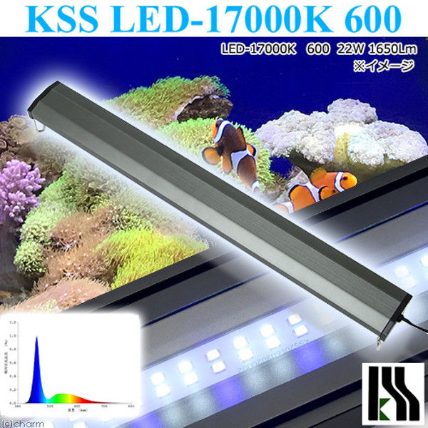 100%新品低価KSS(ケイエスエス) LED-17000K 600 水槽装飾品