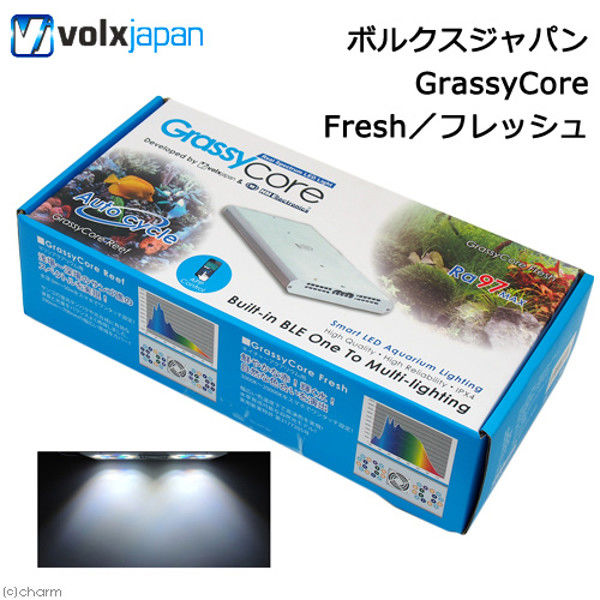 volxjapan（ボルクスジャパン） Grassy Core Fresh/フレッシュ 淡水 水草 ライト 102944 1個（直送品）
