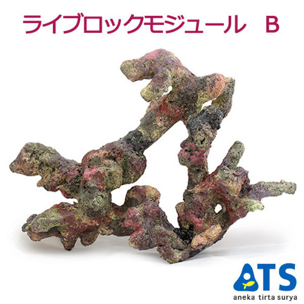 ATS（アネカティルタスリヤ） ライブロックモジュール B アクアリウム 擬岩 201419 1個（直送品）