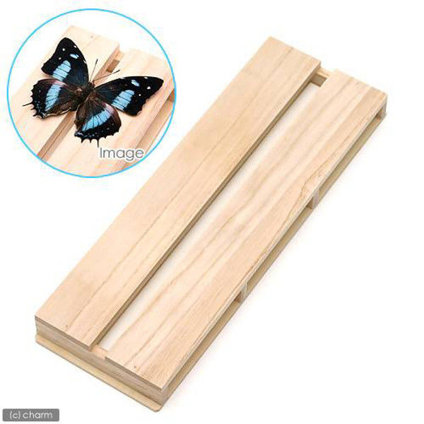 志賀昆虫 36×12.5cm 1号 展翅板 42029 1個（直送品）