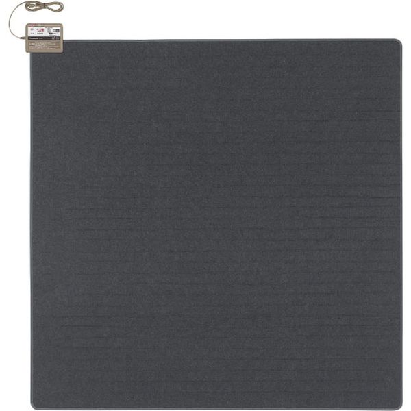 パナソニック 着せかえカーペット用ヒーター　２畳相当 DC-2JN 1台（直送品）