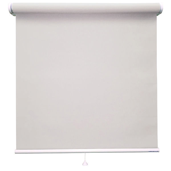 ロールスクリーン 北欧風 TR-1072 1800×2500mm シルバー 1台（直送品） 17,796円
