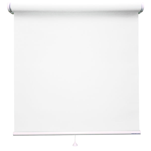 ロールスクリーン シースルー TR-1593 500×1300mm クールグレー 1台（直送品）