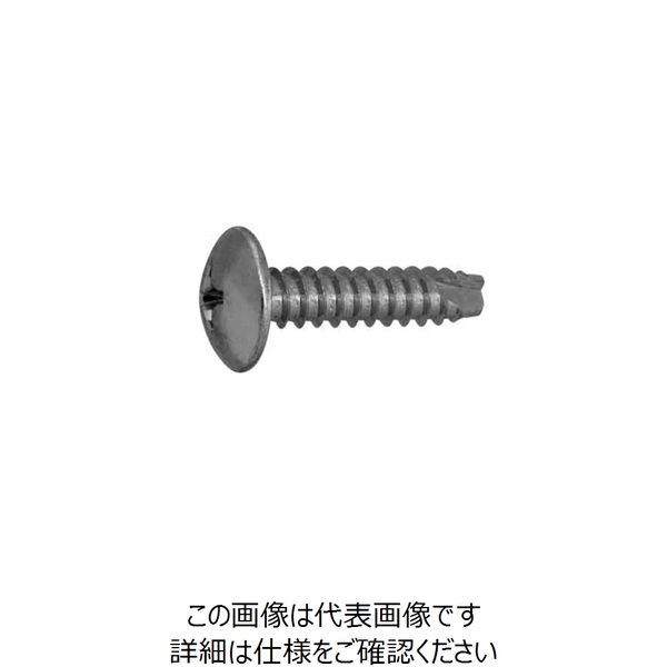 ファスニング J ステンメッキ 鉄（+）トラスタッピンねじ（2種溝付き B-1形） 4 X 50 21000003004005005S（直送品）