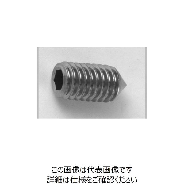 ファスニング J 3カーW 鋼 六角穴付き止めねじ（ホーローセット）（とがり先） 3 X 8 A000502M0030008003（直送品）