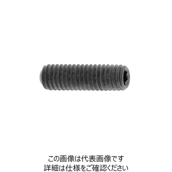 ファスニング J ニッケル 鋼 六角穴付き止めねじ（ホーローセット）（くぼみ先） 2.5 X 6 A00050000025006005（直送品）