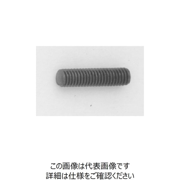 ファスニング J ニッケル 鋼 六角穴付き止めねじ（ホーローセット）（丸先） 3 X 14 A00050900030014005（直送品） 33,773円