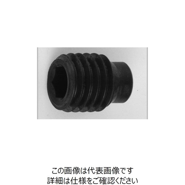 ファスニング J ニッケル 鋼 六角穴付き止めねじ（ホーローセット）（棒先） 3 X 18 A00050300030018005（直送品） 40,087円