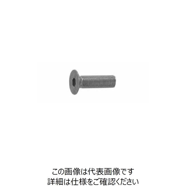 ファスニング J BC 鋼 六角穴付き皿ボルト （皿キャップスクリュー）（新JIS） 20 X 65 A00020JN0200065010（直送品）