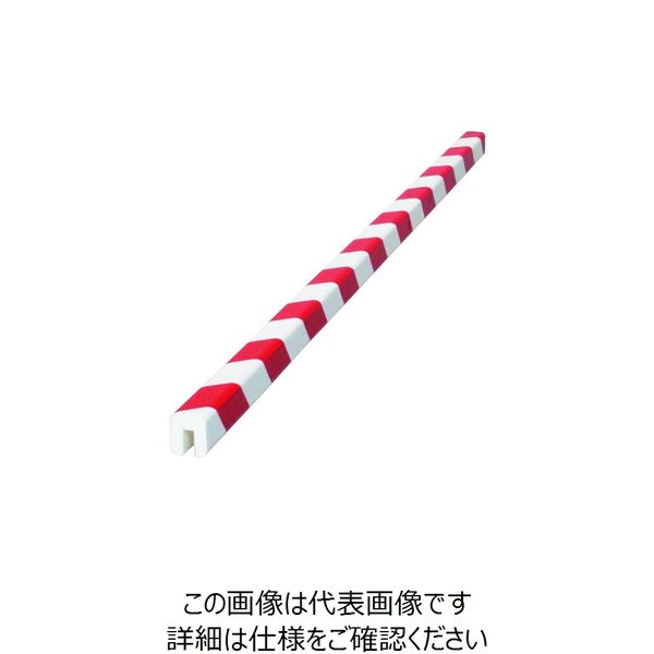 岩田製作所 IWATA バンパープロ BP8R-L1 1本 222-0863（直送品）