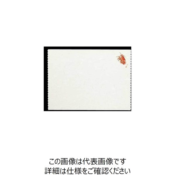 大黒工業 大黒 天ぷら敷紙四季 (エビ) 215670 1組(1000枚) 236-6562（直送品）