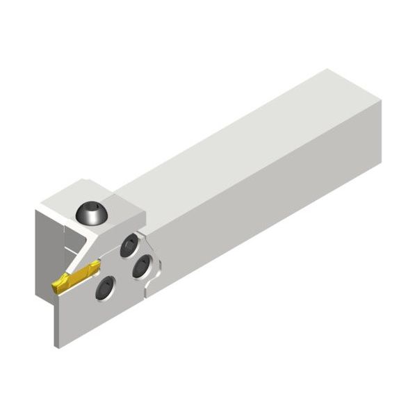 NTKカッティングツールズ TAEGUTEC Tクランプ アダプター取付式ストレートホルダー TCAHR 2020 1本 457-0216（直送品）