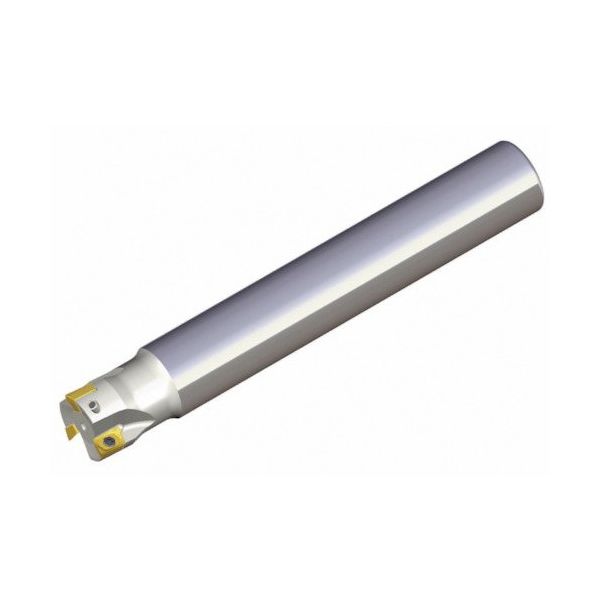 NTKカッティングツールズ TAEGUTEC チェイスミル TE90AX 725-W20-06-C 1本 459-1131（直送品）