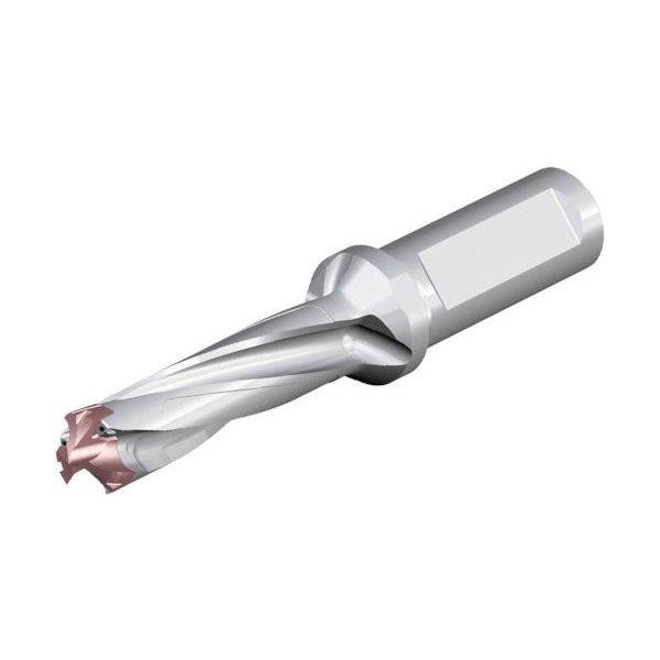 NTKカッティングツールズ TAEGUTEC 刃先交換式ドリルホルダー ドリルスフィード 3ED 180-189-25T2-3D 1本（直送品）