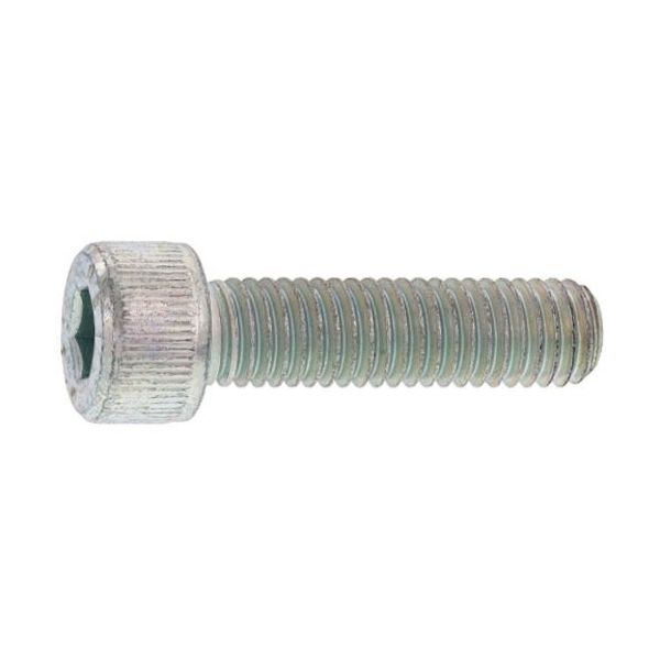 SUNCO ユニクロ CAP 日本鋲螺 30×100 (6本入) A0-00-000B-0300-1000-01 1箱(6本)（直送品）