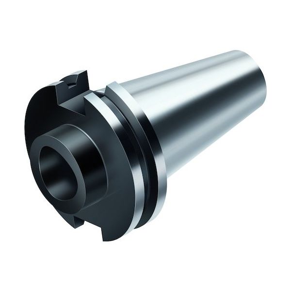 ワルタージャパン Walter マスター ASME B5.50 C. C5-A390B.45-50 030 1個 412-5161（直送品）